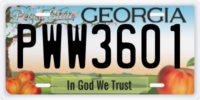 GA license plate PWW3601