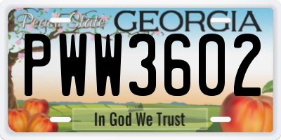 GA license plate PWW3602