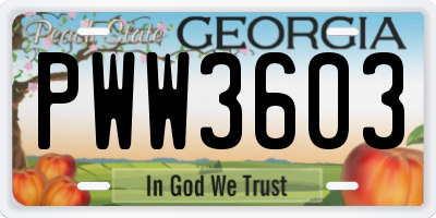 GA license plate PWW3603