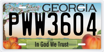 GA license plate PWW3604