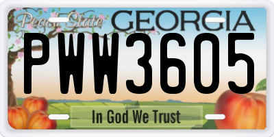 GA license plate PWW3605