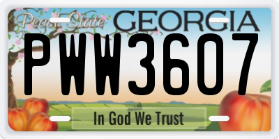 GA license plate PWW3607