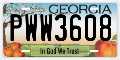 GA license plate PWW3608