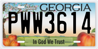 GA license plate PWW3614