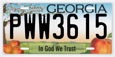 GA license plate PWW3615