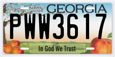 GA license plate PWW3617