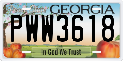 GA license plate PWW3618