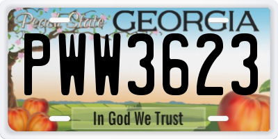 GA license plate PWW3623