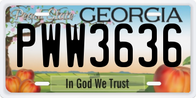 GA license plate PWW3636