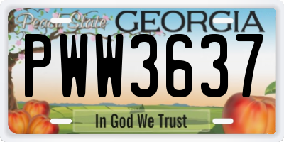 GA license plate PWW3637