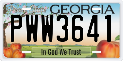 GA license plate PWW3641