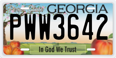 GA license plate PWW3642
