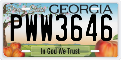 GA license plate PWW3646