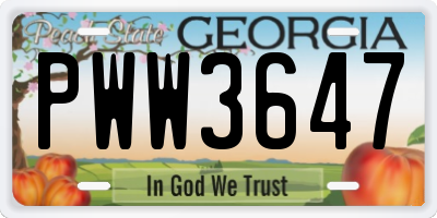 GA license plate PWW3647