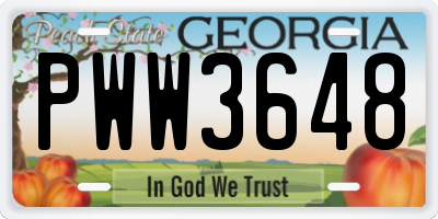 GA license plate PWW3648