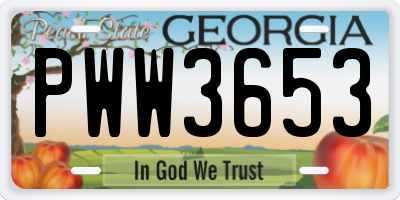 GA license plate PWW3653