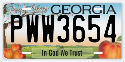 GA license plate PWW3654
