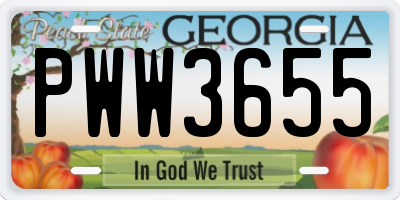 GA license plate PWW3655