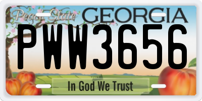 GA license plate PWW3656