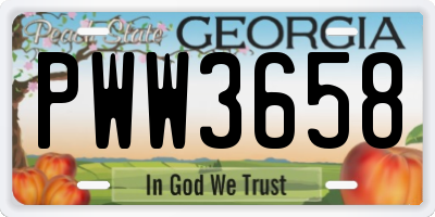 GA license plate PWW3658