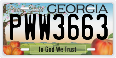 GA license plate PWW3663