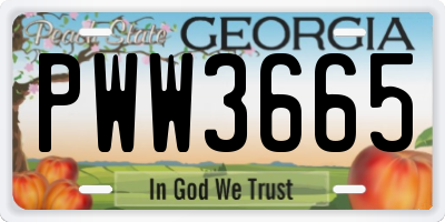 GA license plate PWW3665