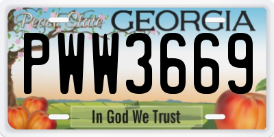 GA license plate PWW3669