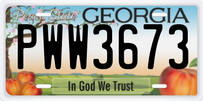 GA license plate PWW3673