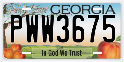GA license plate PWW3675