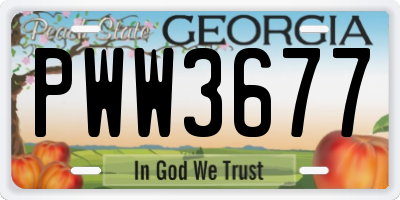 GA license plate PWW3677