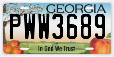 GA license plate PWW3689