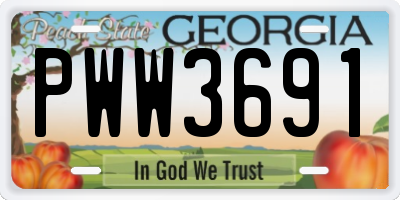 GA license plate PWW3691