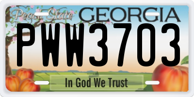 GA license plate PWW3703