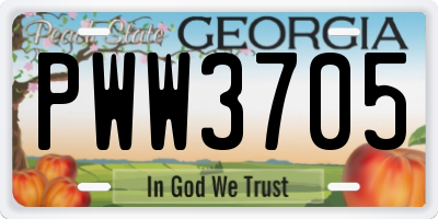 GA license plate PWW3705