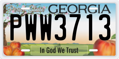 GA license plate PWW3713