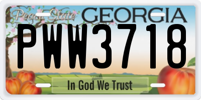 GA license plate PWW3718