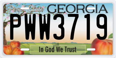 GA license plate PWW3719