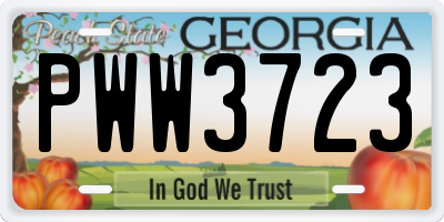 GA license plate PWW3723