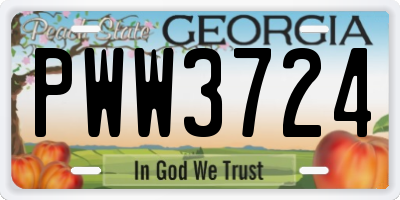 GA license plate PWW3724