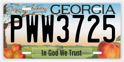 GA license plate PWW3725