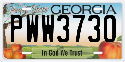 GA license plate PWW3730