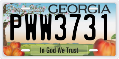 GA license plate PWW3731