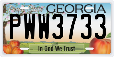 GA license plate PWW3733