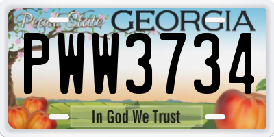 GA license plate PWW3734