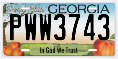 GA license plate PWW3743