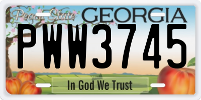 GA license plate PWW3745