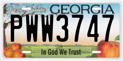 GA license plate PWW3747