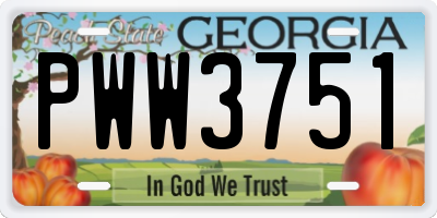 GA license plate PWW3751