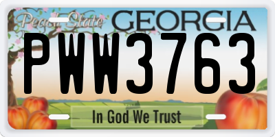 GA license plate PWW3763