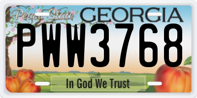 GA license plate PWW3768